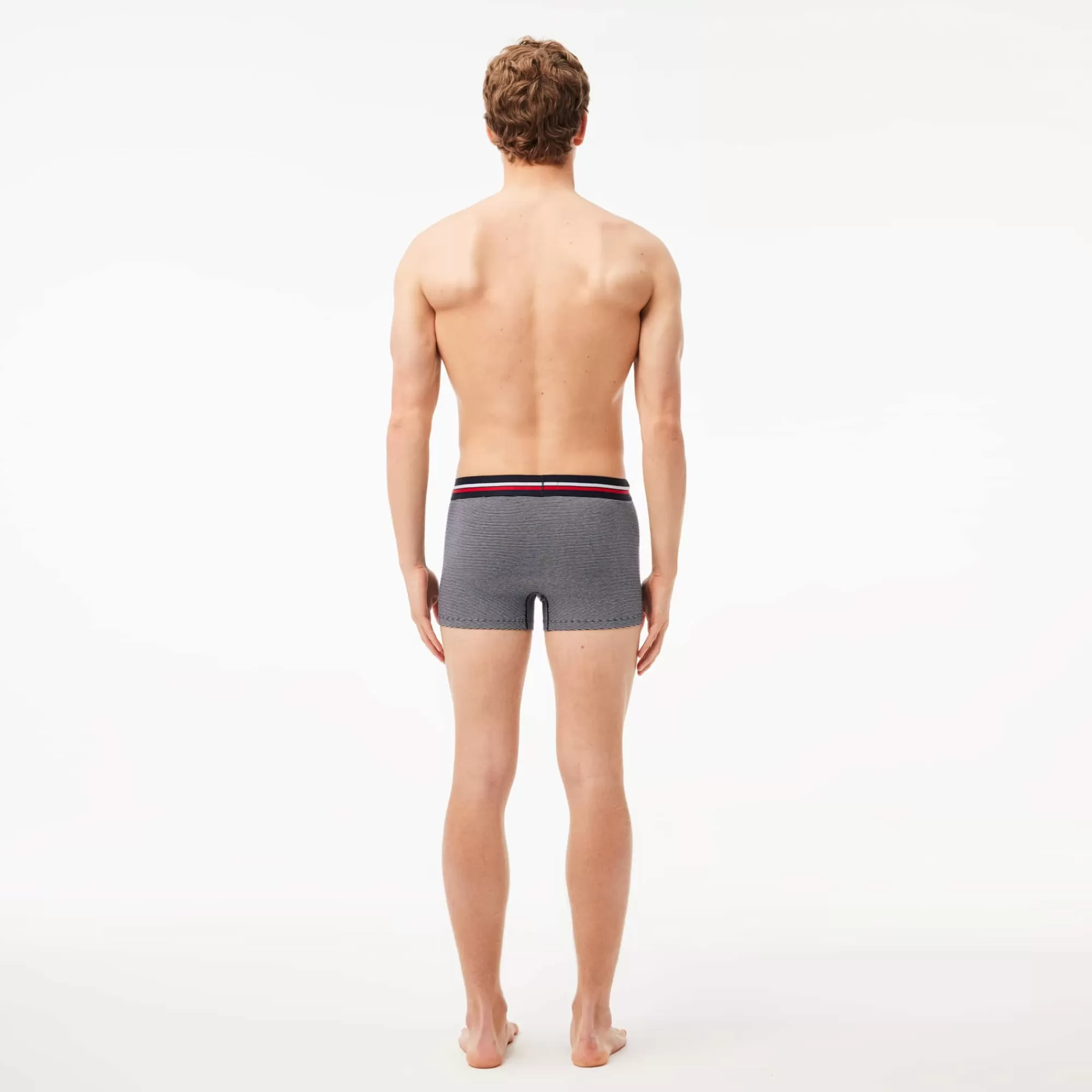 LACOSTE Men's 3-Pack Multicolor Band Trunks^ Multi-Packs | Underwear & Loungewear