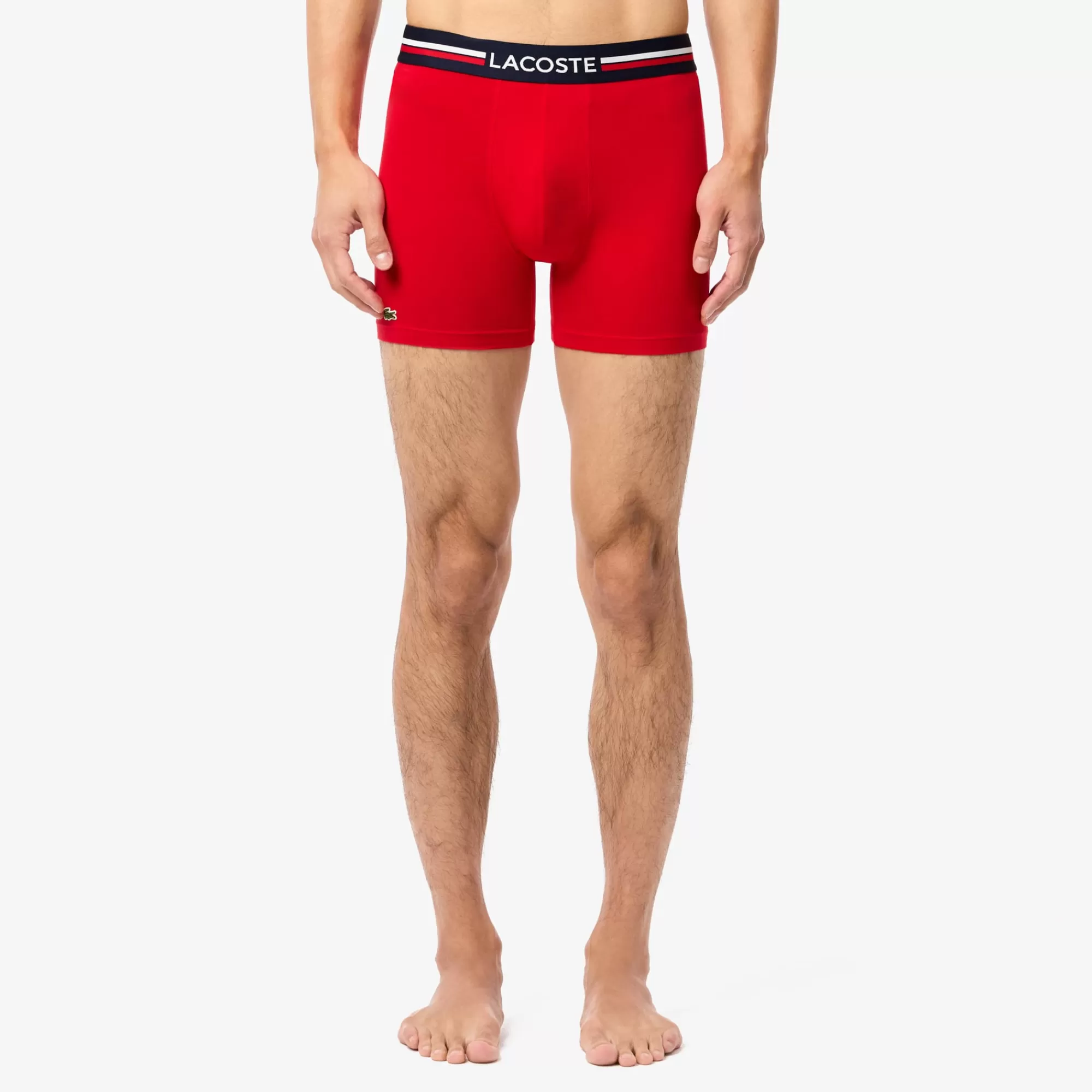 LACOSTE Men's 3-Pack Multicolor Waist Boxer Briefs^ Boxer Briefs | Multi-Packs